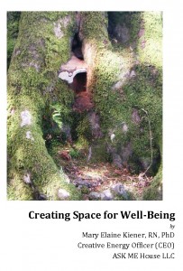 eBookCover-Space-for-Wellbeing