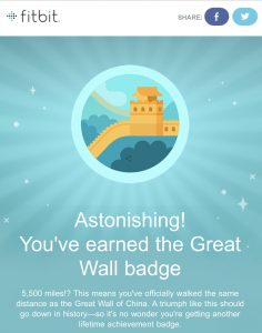 Screenshot - FitBit Badge